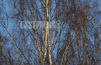 EA259871
, Eastpress, Porvoo, Finland